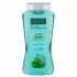 Shampoo Payot Botânico Melissa e Erva Doce 300Ml