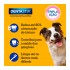 Petisco Pedigree Dentastix Para Cães Adultos Porte Médio 77G Com 3 Unidades