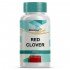 Red Clover 250mg 120 Cápsulas