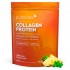 Collagen Protein Abacaxi e Hortelã 450G Puravida