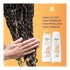 Kit Dove Texturas Reais Cacheados Shampoo 350Ml e Condicionador 175Ml