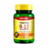 Suplemento Alimentar Vitamina B12 9,94Mcg Com 60 Cápsulas Maxinutri
